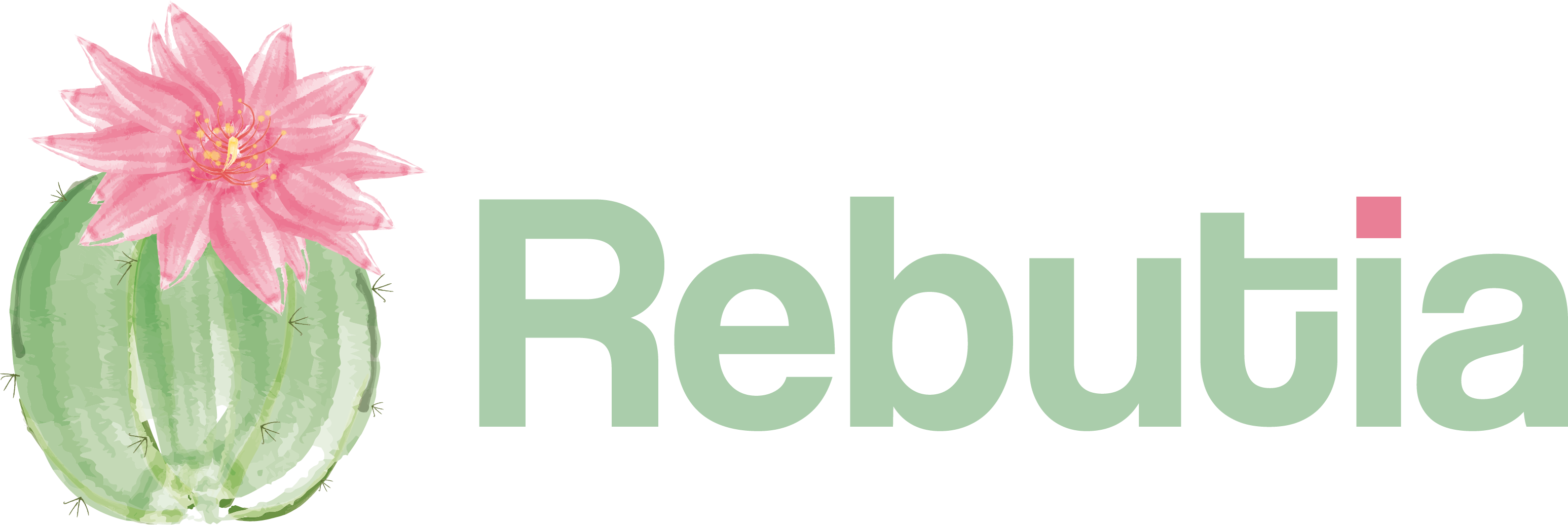 Logo de Rebutia, cliente de Massell Digital