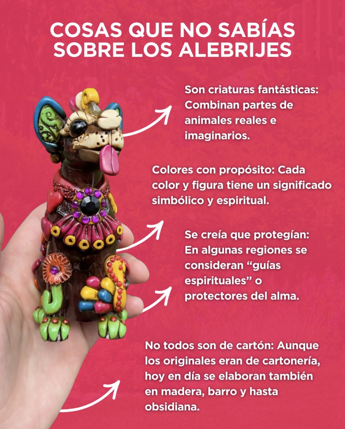 Post de redes sociales 20