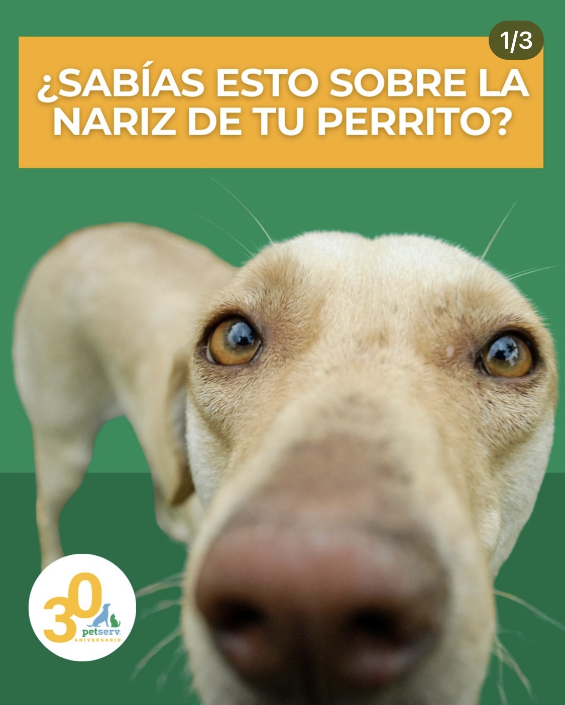 Post de redes sociales 25