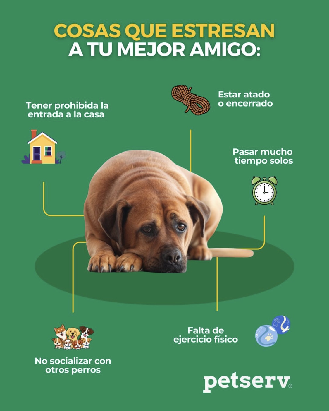 Post de redes sociales 34