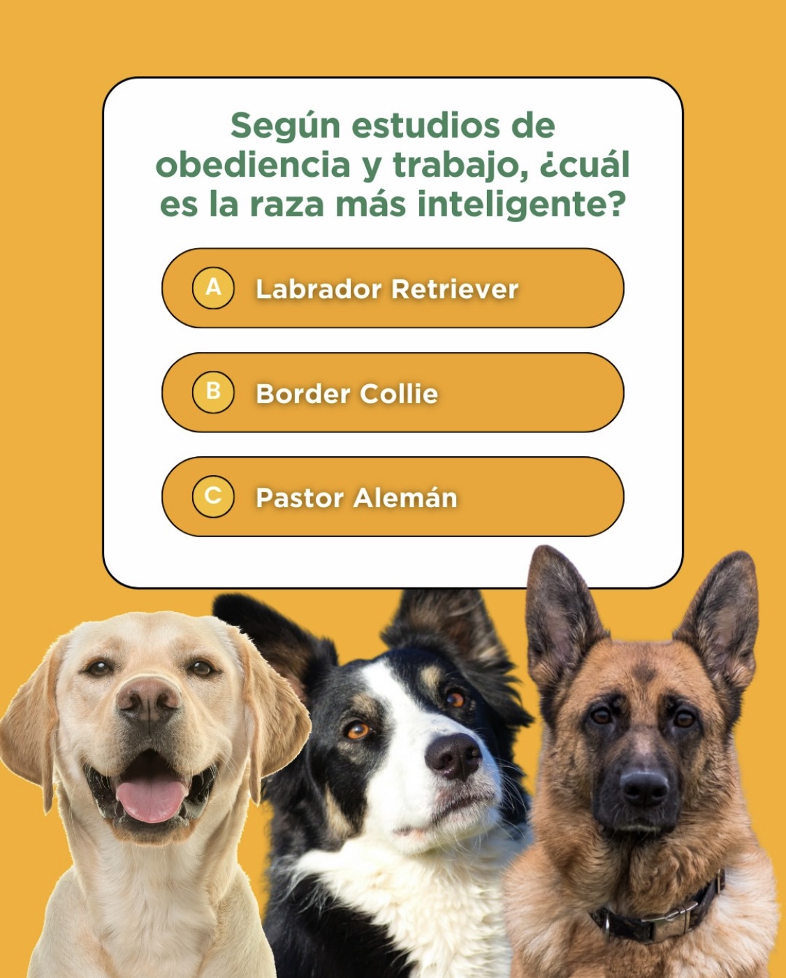 Post de redes sociales 35
